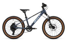 Детский велосипед WELT Brave 2.0 20 HD (2025)