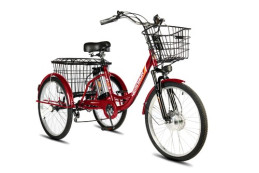 Велосипед РВЗ Чемпион 24 250Вт. 12Ач