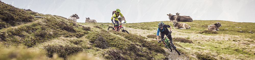 Velo Shop Ru Интернет Магазин Velo Shop Ru Интернет Магазин