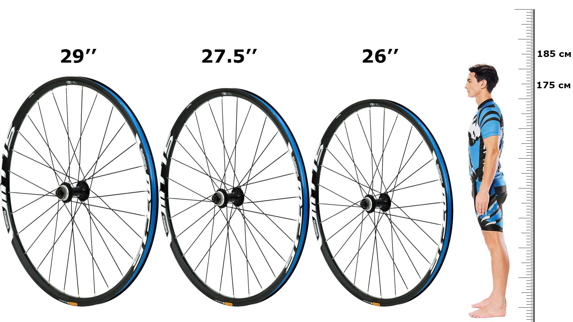 Диаметр 26 на какой рост. Велосипед колеса 26 27.5 29. Радиус колеса 27.5 дюймов. Размеры велосипеда с 26 колесами. Велосипед 29 или 27.5 дюймов размер.