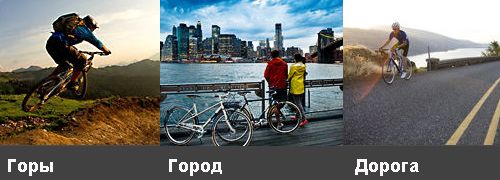 vybor_velosiped_po_naznacheniu[1].jpg