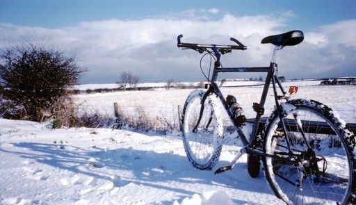 velosiped-zimoy[1].jpg