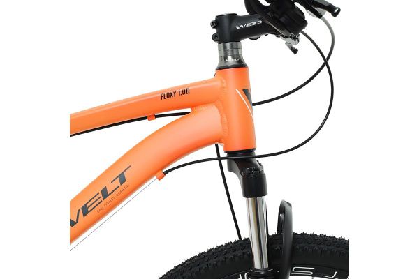 Велосипед Welt Floxy 1.0 D 26 (2024)