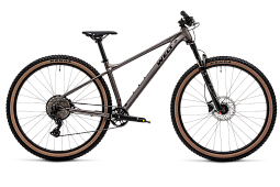 Велосипед Welt Rambler 1.0 29 (2025)