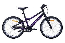 Детский велосипед ALPINEBIKE Pegas 3-20 (2025)