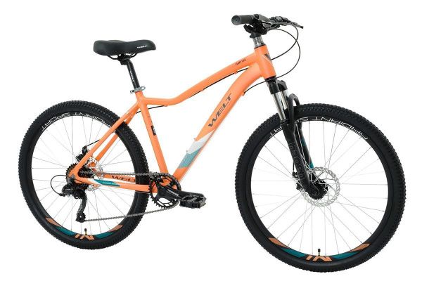 Велосипед Welt Floxy 1.0 D 26 (2024)