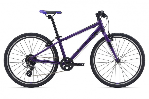 Велосипед GIANT ARX 24 (2021)