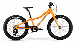 Детский велосипед MERIDA Matts J20+ Eco (2021)