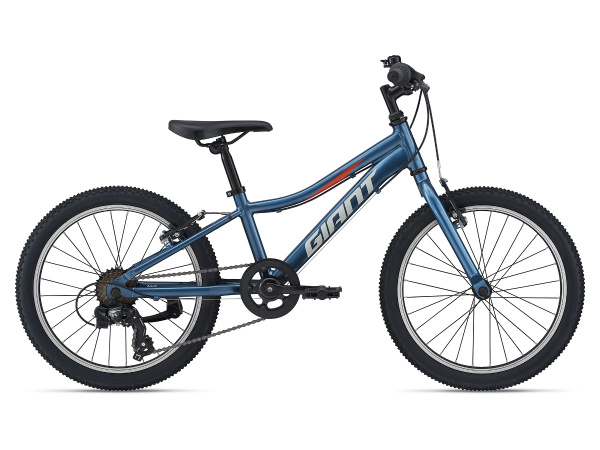 Велосипед Giant XtC Jr 20 Lite (2021)